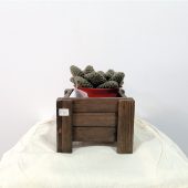 _B-77-Macetero-madera